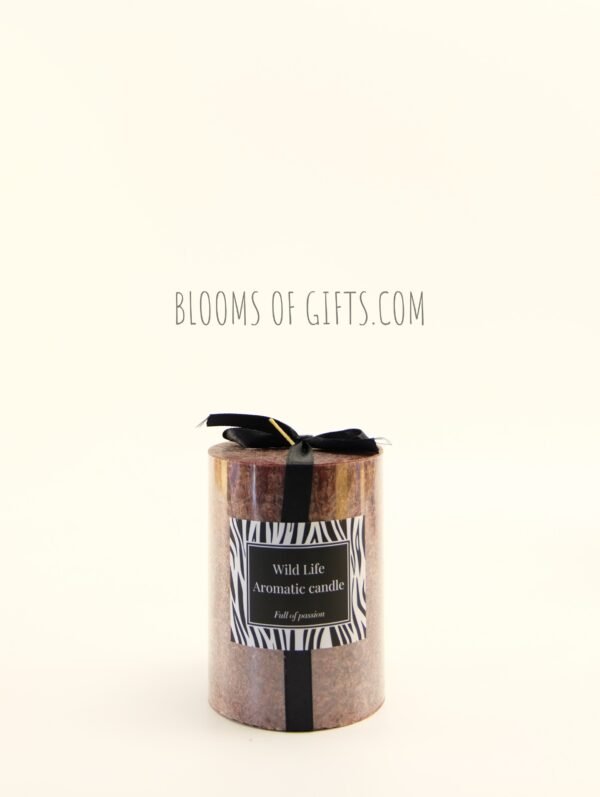 Moment Series - Image 7