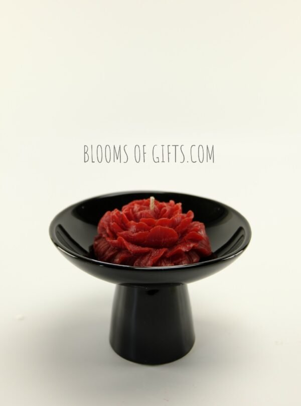 Moments Series · Eternal Roses